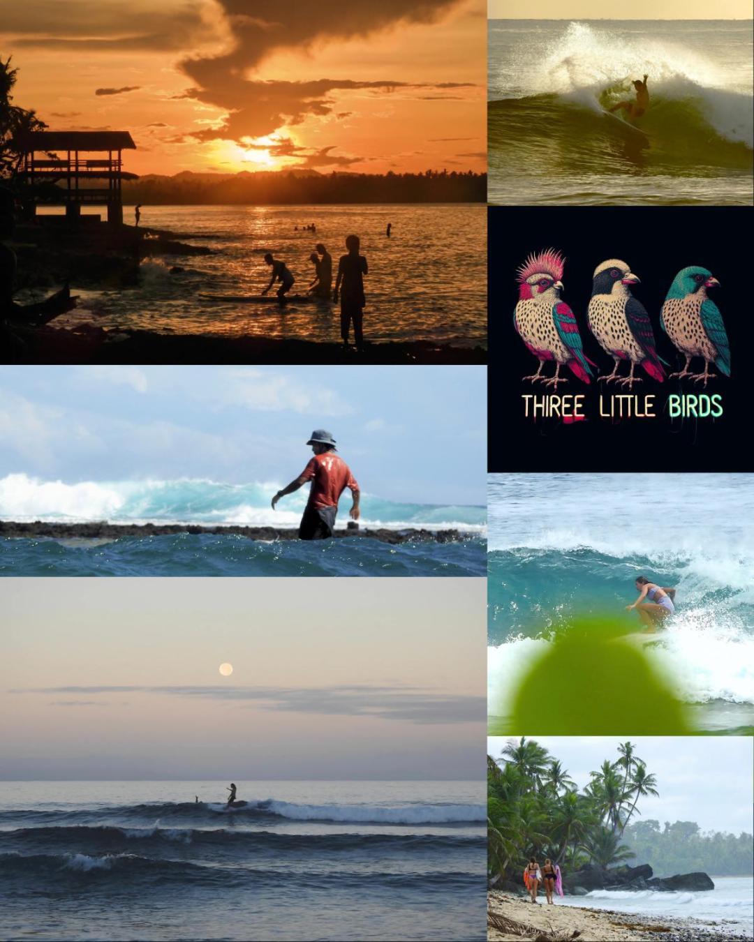 Three Little Birds Surf Hostel General Luna  Ngoại thất bức ảnh